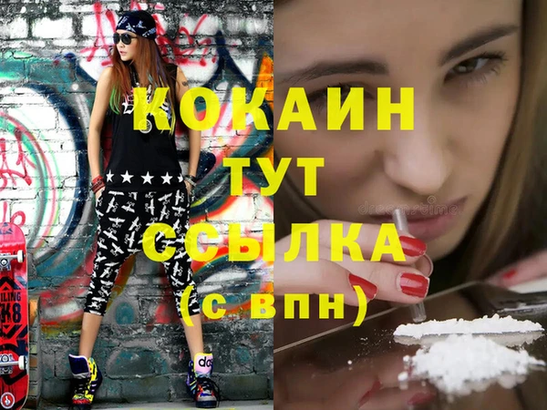 хмурый Белокуриха