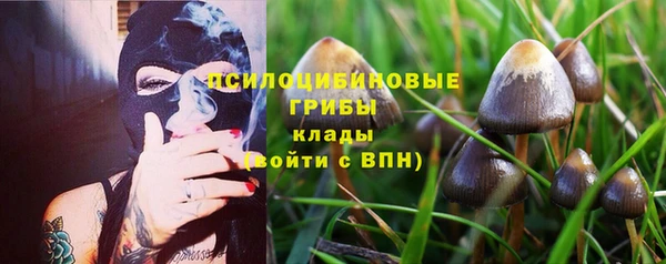 ешки Богородицк